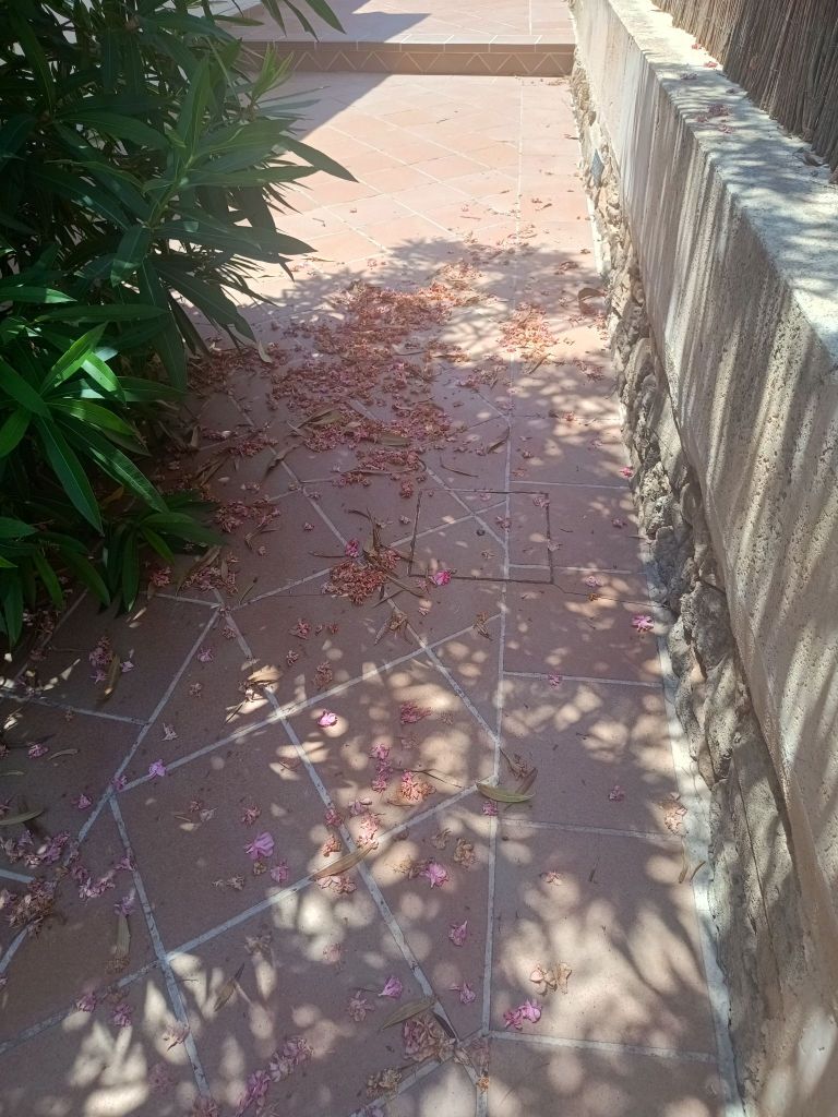 img_20250704_134930452_hdr2839857319890313