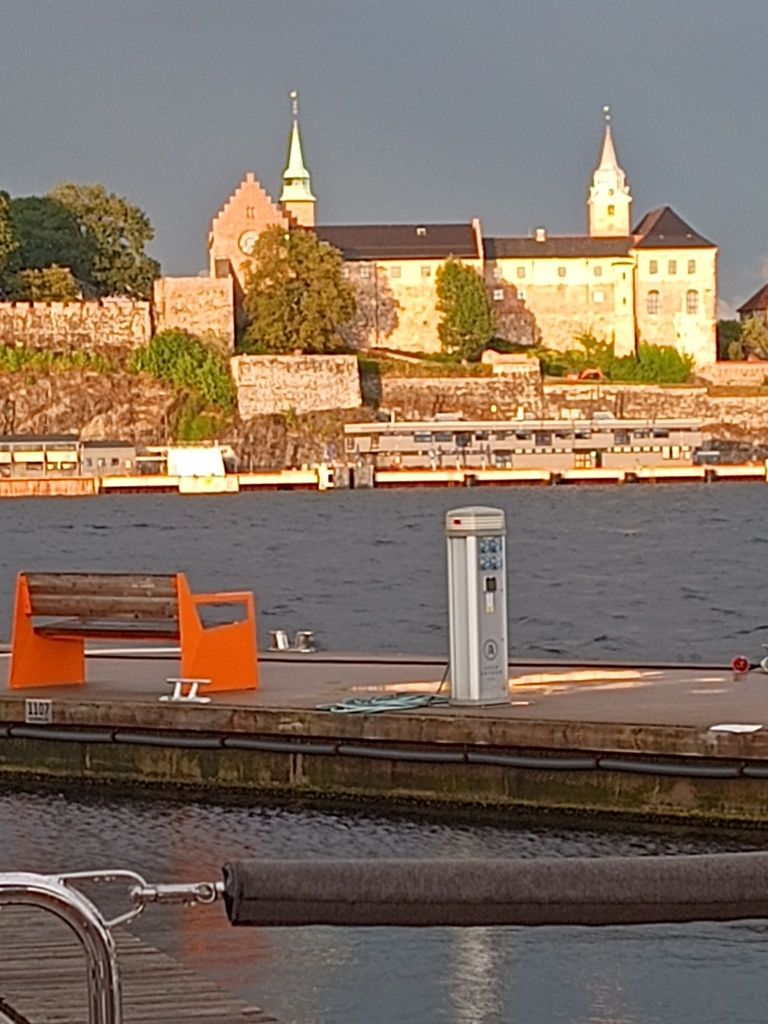 img_20250809_2038281368283581643051441789