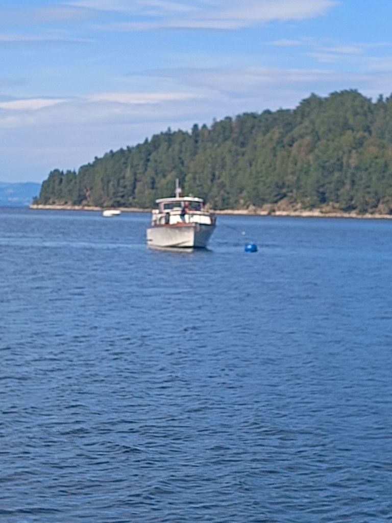 img_20250812_1527535773234017709299655186